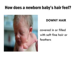 How does a newborn baby’s hair feel?
DOWNY HAIR
covered in or filled
with soft fine hair or
feathers
 