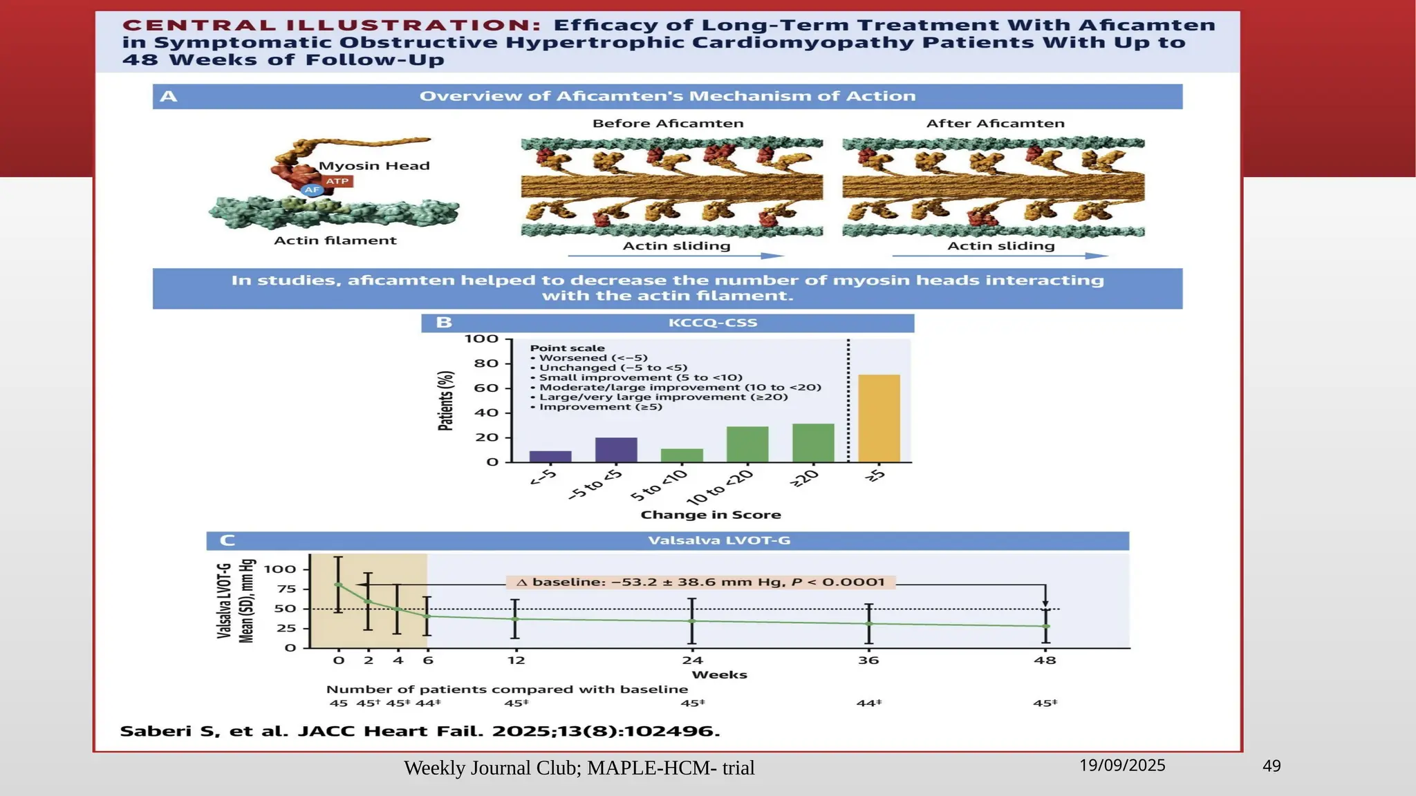Weekly Journal Club; MAPLE-HCM- trial 49
19/09/2025
 