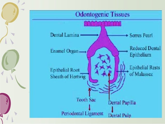 Calcifying odontogenic cyst