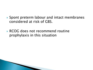 Gbs Algorithm Rcog Journal preterm labour | PPTX