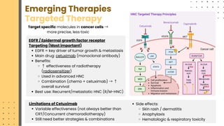 Summary of Advancing Head and Neck Cancer Therapies: From Conventional ...