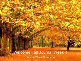 Welcome Fall Journal Week 4
Journal Week Number 4
 