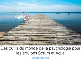 Des outils du monde de la psychologie pour 
les équipes Scrum et Agile 
@BrunoSbille 
 