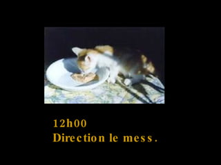 12h00  Direction le mess.  