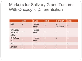 Review and Updates of Immunohistochemistry in Selected Salivary Gland ...