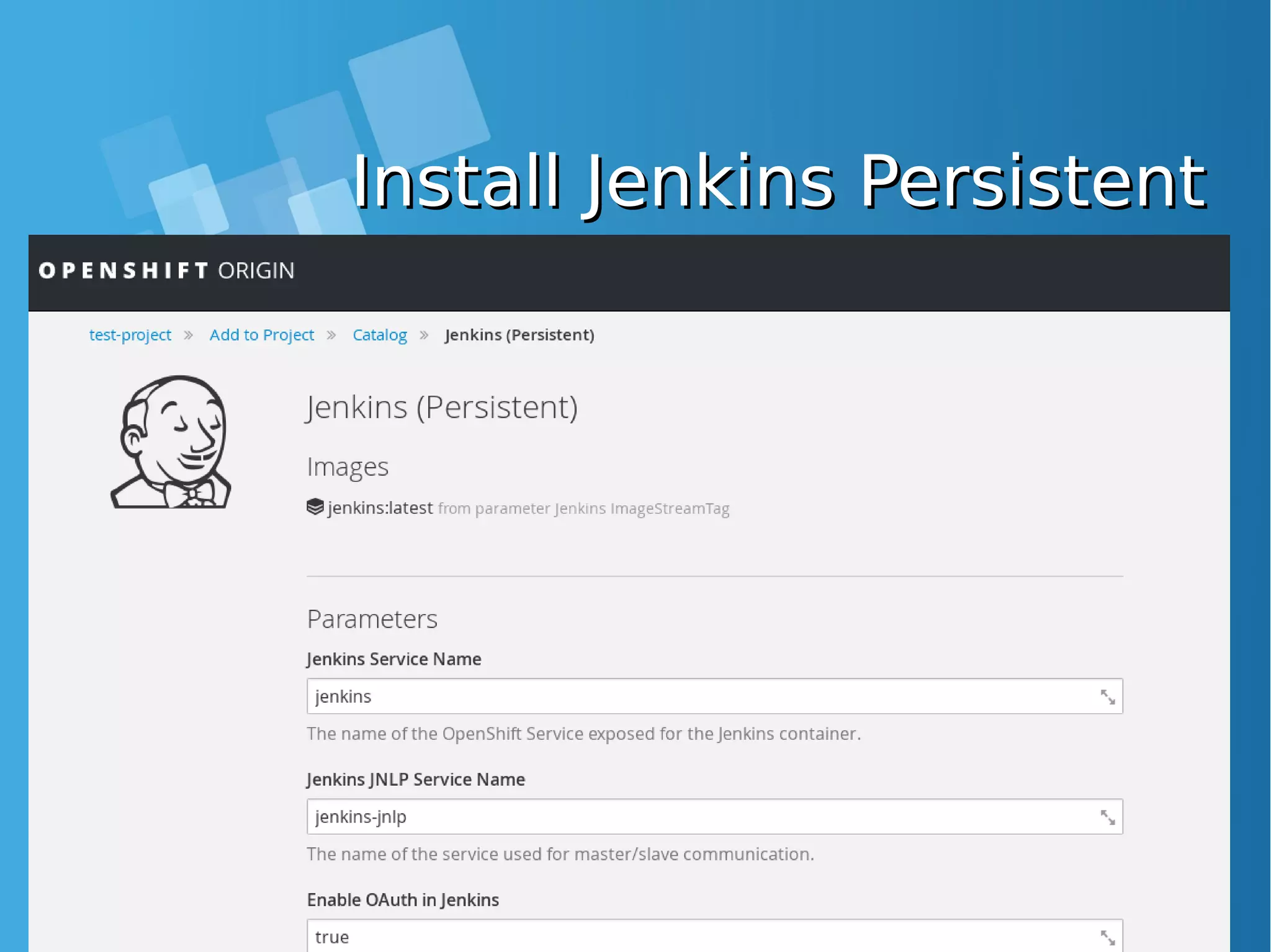 Install Jenkins PersistentInstall Jenkins Persistent 
