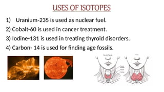 1) Uranium-235 is used as nuclear fuel.
2) Cobalt-60 is used in cancer treatment.
3) Iodine-131 is used in treating thyroid disorders.
4) Carbon- 14 is used for finding age fossils.
 