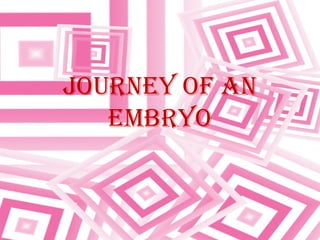 JOURNEY OF AN
EMBRYO
 