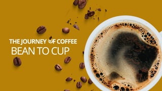 Journey of Coffee PPT, bean to cup - basic level | PPTX