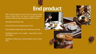 Journey of Coffee PPT, bean to cup - basic level | PPTX