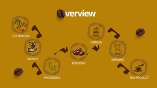Journey of Coffee PPT, bean to cup - basic level | PPTX