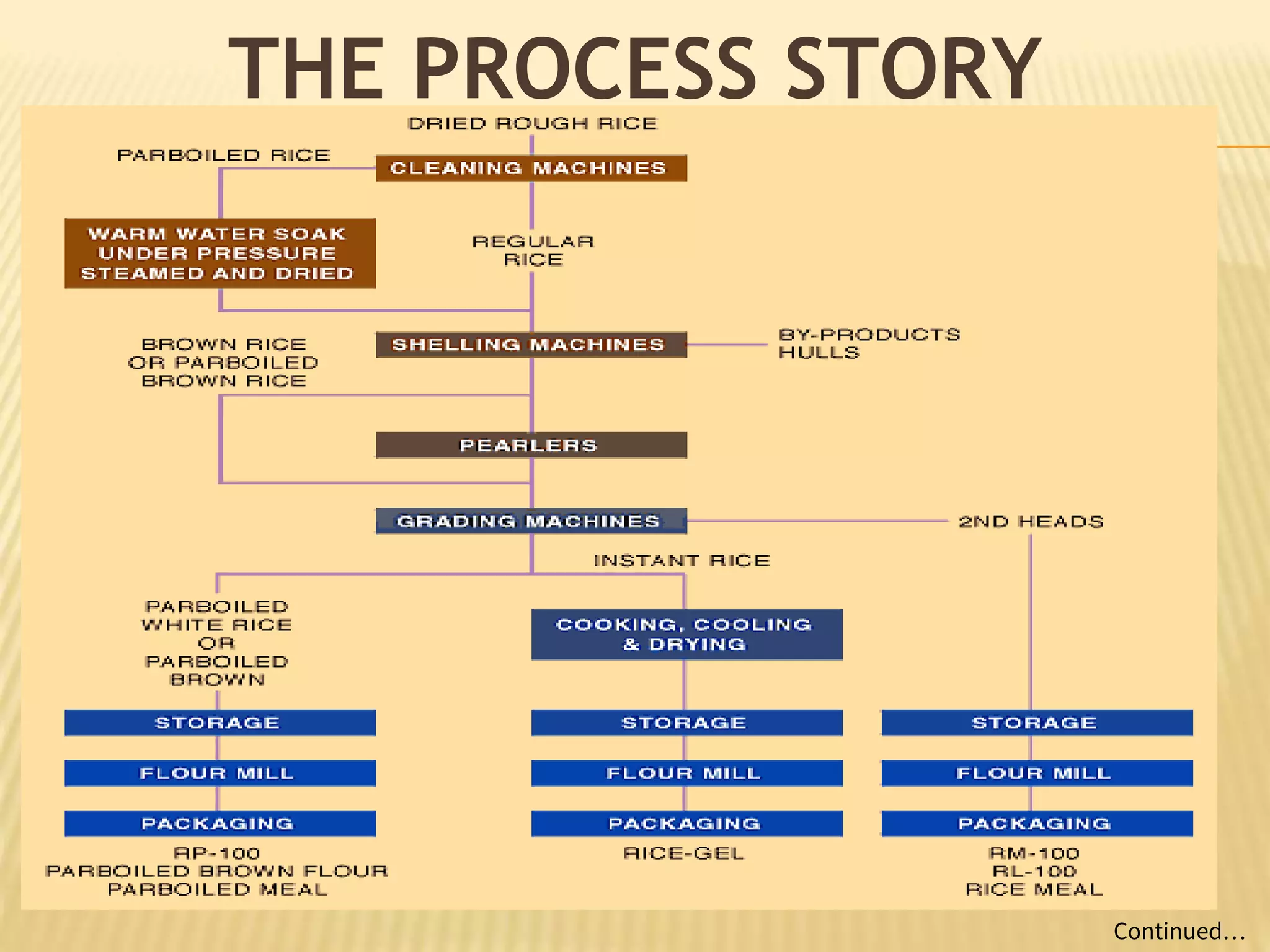 How They Make Rice Journey Of Rice, From Paddy To Parboiled | PPTX