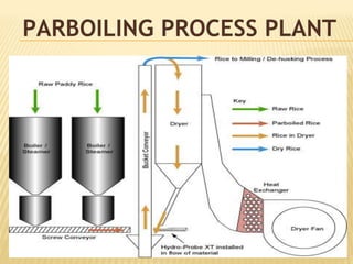 Modern Method of Parboiling Rice I Parboiled Rice Nextech
