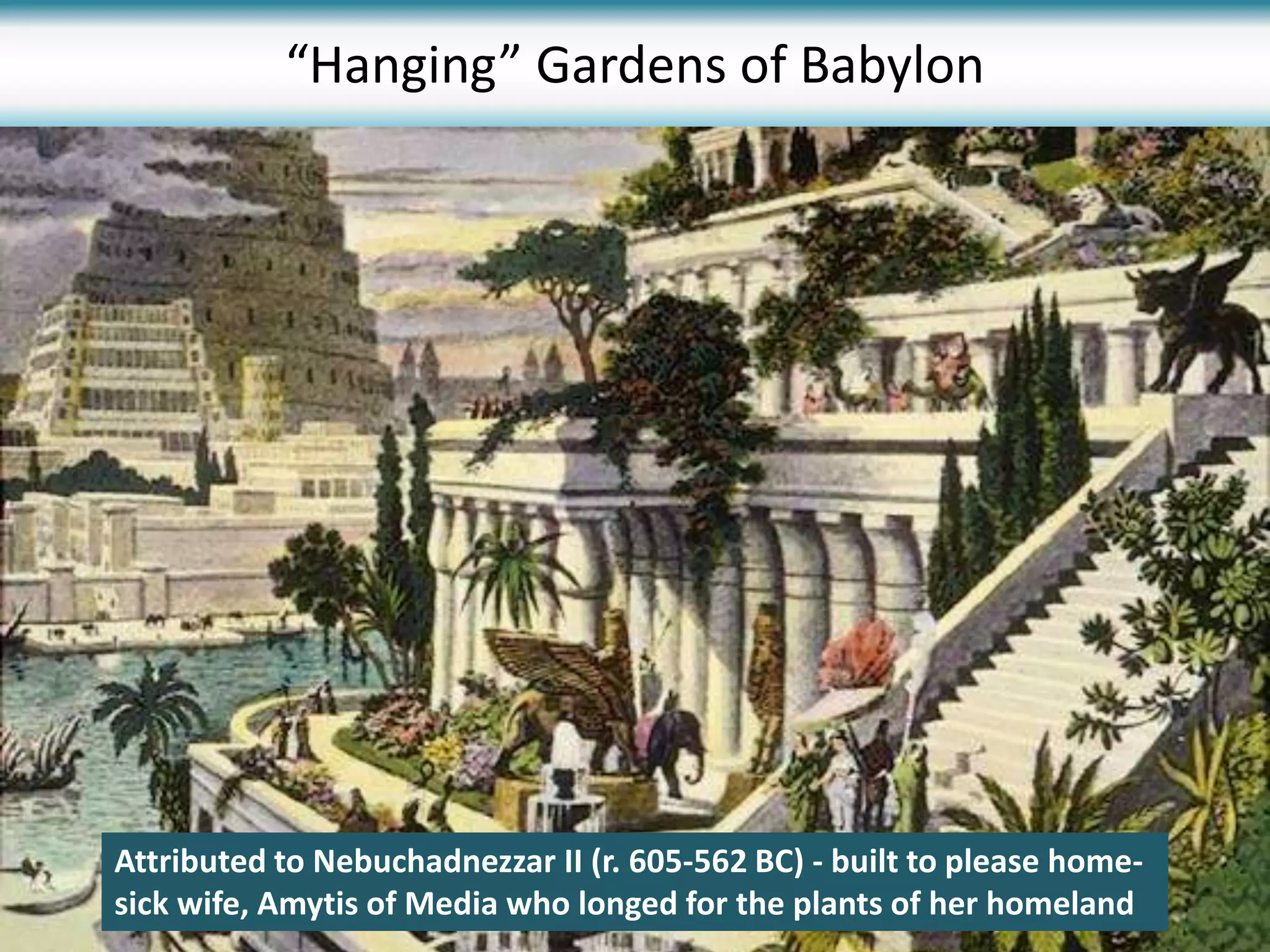 “Hanging” Gardens of Babylon
Attributed to Nebuchadnezzar II (r. 605-562 BC) - built to please home-
sick wife, Amytis of Media who longed for the plants of her homeland
 