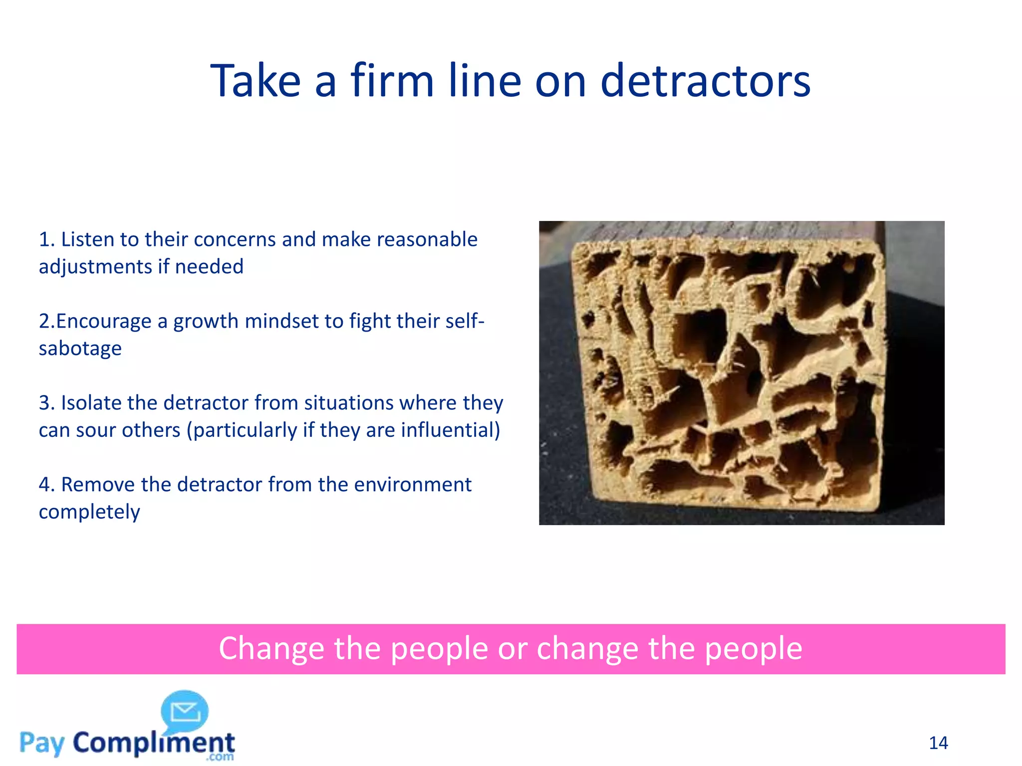 Take a firm line on detractors
14
Change the people or change the people
1. Listen to their concerns and make reasonable
adjustments if needed
2.Encourage a growth mindset to fight their self-
sabotage
3. Isolate the detractor from situations where they
can sour others (particularly if they are influential)
4. Remove the detractor from the environment
completely
 
