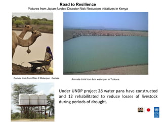 Under UNDP project 28 water pans have constructed
and 12 rehabilitated to reduce losses of livestock
during periods of drought.
Animals drink from Arot water pan in Turkana.Camels drink from Diiso II Waterpan, Garissa
Road to Resilience
Pictures from Japan-funded Disaster Risk Reduction Initiatives in Kenya
 