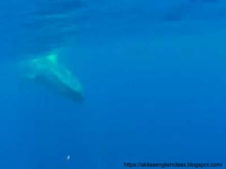 https://akilasenglishclass.blogspot.com/
 