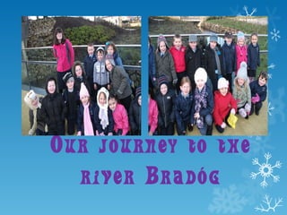 Our journey to the river Bradóg 