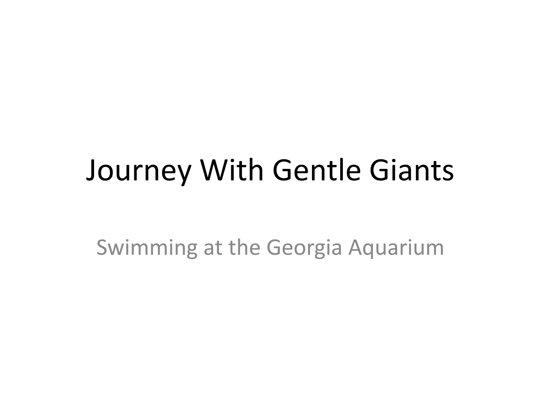 Journey With Gentle GiantsSwimming at the Georgia Aquarium
