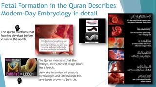 Journey with the Quran Slideshow Presentation | PPTX