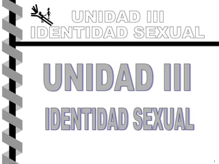 1 UNIDAD III IDENTIDAD SEXUAL UNIDAD III IDENTIDAD SEXUAL 