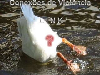 O CASO MANÍACO DA CANTAREIRA
 