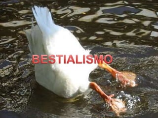 O CASO MANÍACO DA CANTAREIRA
 