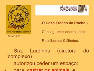 O Caso Franco da Rocha -
Parte 2
Conseguimos doar os dois
cavalos.
Recolhemos 9 filhotes.
Sra. Lurdinha (diretora do
complexo)
autorizou ceder um espaço:
 