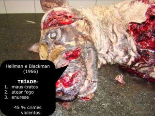 Hellman e Blackman
(1966)
TRÍADE:
1. maus-tratos
2. atear fogo
3. enurese
45 % crimes
violentos
 