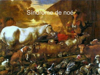 Síndrome de noé
 