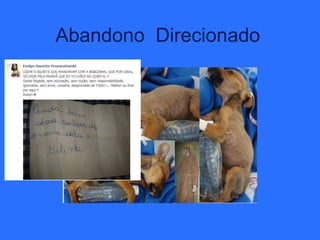Abandono Direcionado
 