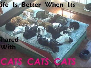 comprometimento
funcional
dos espaços
 