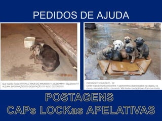 PEDIDOS DE AJUDA
 