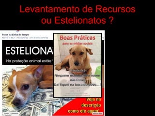 Levantamento de Recursos
ou Estelionatos ?
 