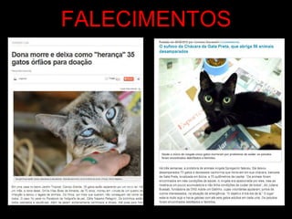 FALECIMENTOS
 