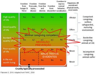 MAUS TRATOS
EVIDENTES
MEDIAÇÃO
PREVENÇÃO
 