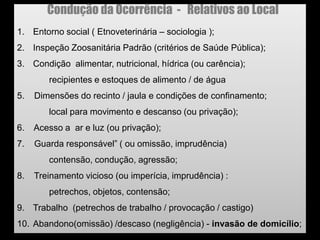 1. Entorno social ( Etnoveterinária – sociologia );
2. Inspeção Zoosanitária Padrão (critérios de Saúde Pública);
3. Condição alimentar, nutricional, hídrica (ou carência);
recipientes e estoques de alimento / de água
5. Dimensões do recinto / jaula e condições de confinamento;
local para movimento e descanso (ou privação);
6. Acesso a ar e luz (ou privação);
7. Guarda responsável‖ ( ou omissão, imprudência)
contensão, condução, agressão;
8. Treinamento vicioso (ou imperícia, imprudência) :
petrechos, objetos, contensão;
9. Trabalho (petrechos de trabalho / provocação / castigo)
10. Abandono(omissão) /descaso (negligência) - invasão de domicílio;
Condução da Ocorrência - Relativos ao Local
 