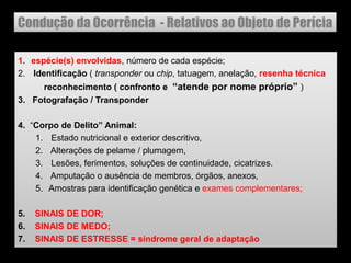 Condução da Ocorrência - Relativos ao Objeto de Perícia
1. espécie(s) envolvidas, número de cada espécie;
2. Identificação ( transponder ou chip, tatuagem, anelação, resenha técnica
reconhecimento ( confronto e “atende por nome próprio” )
3. Fotografação / Transponder
4. ―Corpo de Delito” Animal:
1. Estado nutricional e exterior descritivo,
2. Alterações de pelame / plumagem,
3. Lesões, ferimentos, soluções de continuidade, cicatrizes.
4. Amputação o ausência de membros, órgãos, anexos,
5. Amostras para identificação genética e exames complementares;
5. SINAIS DE DOR;
6. SINAIS DE MEDO;
7. SINAIS DE ESTRESSE = síndrome geral de adaptação
 