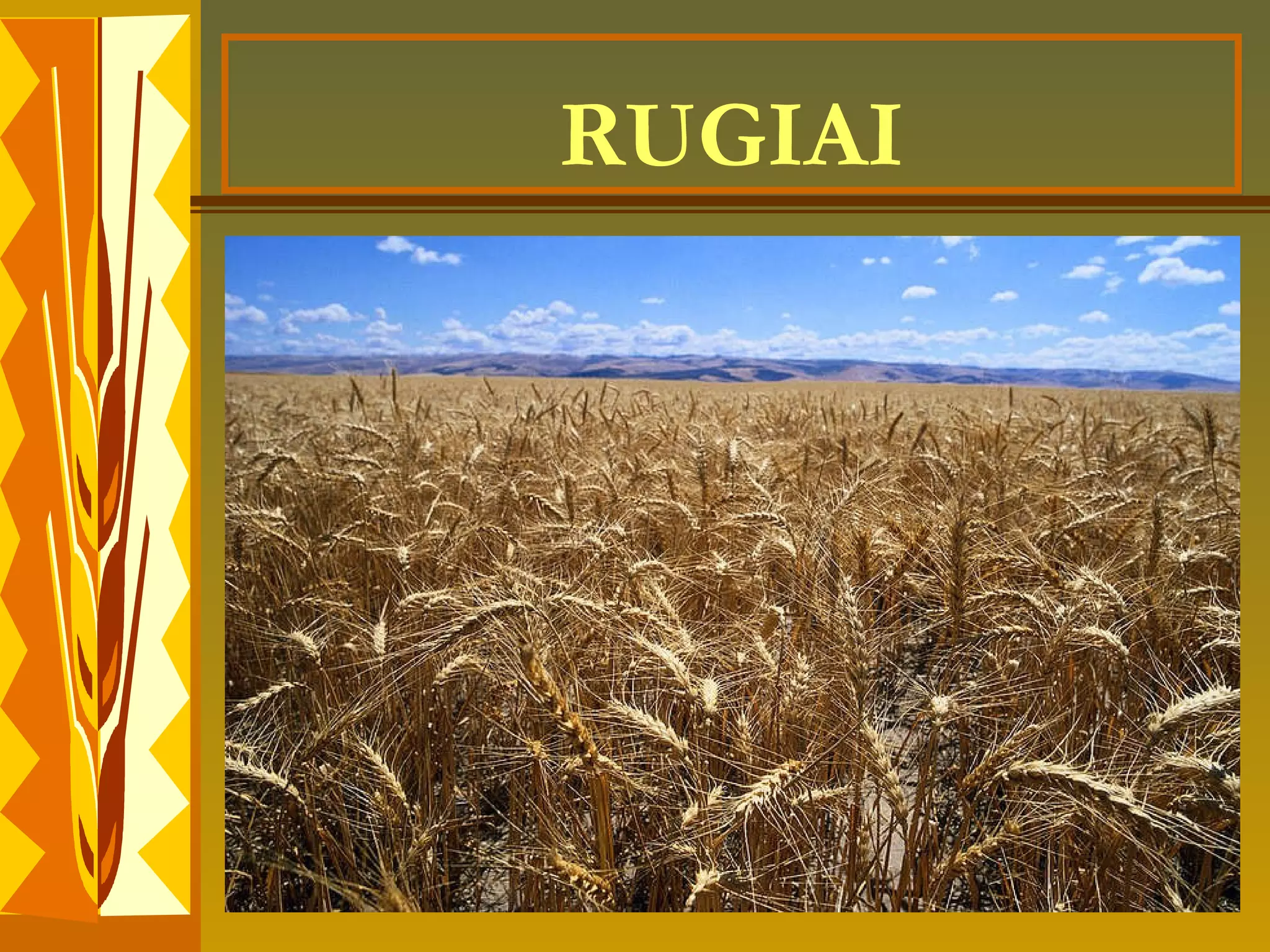 Projektas „Rugelio kelionė'' | PPT