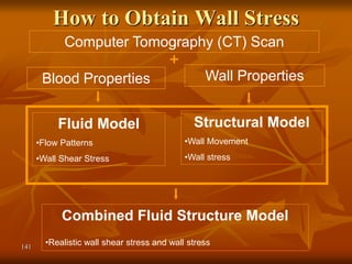 141
How to Obtain Wall Stress
Fluid Model
•Flow Patterns
•Wall Shear Stress
Structural Model
•Wall Movement
•Wall stress
Combined Fluid Structure Model
•Realistic wall shear stress and wall stress
Computer Tomography (CT) Scan
Blood Properties Wall Properties
 