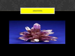 AMATISTA
 