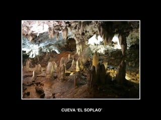 CUEVA ‘EL SOPLAO’