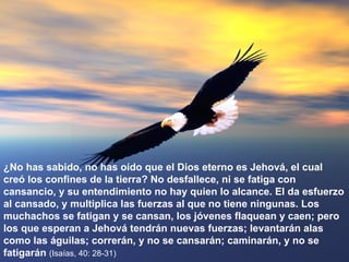 ¿No has sabido, no has oído que el Dios eterno es Jehová, el cual creó los confines de la tierra? No desfallece, ni se fatiga con cansancio, y su entendimiento no hay quien lo alcance. El da esfuerzo al cansado, y multiplica las fuerzas al que no tiene ningunas. Los muchachos se fatigan y se cansan, los jóvenes flaquean y caen; pero los que esperan a Jehová tendrán nuevas fuerzas; levantarán alas como las águilas; correrán, y no se cansarán; caminarán, y no se fatigarán  (Isaías, 40: 28-31) 
