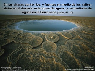 En las alturas abriré ríos, y fuentes en medio de los valles; abriré en el desierto estanques de aguas, y manantiales de aguas en la tierra seca  (Isaías, 41: 18) 