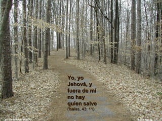 Yo, yo Jehová, y fuera de mí no hay quien salve  (Isaías, 43: 11) 