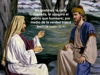 No quebrará la caña cascada, ni apagará el pábilo que humeare; por medio de la verdad traerá justicia  (Isaías, 42: 3) 