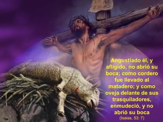 Angustiado él, y afligido, no abrió su boca; como cordero fue llevado al matadero; y como oveja delante de sus trasquiladores, enmudeció, y no abrió su boca (Isaias, 53: 7) 