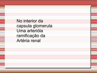 No interior da
capsula glomerula
Uma arterióla
ramificação da
Artéria renal