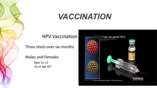 VACCINATION
 