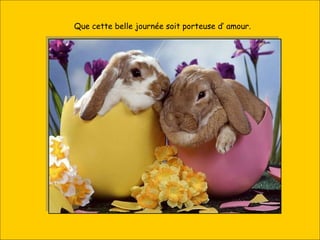 Que cette belle journée soit porteuse d’ amour. 